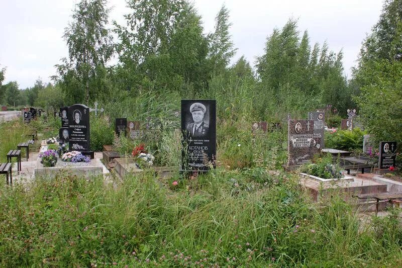 Похоронен на южном кладбище. Южное кладбище Санкт-Петербург. Северное кладбище СПБ. Южное кладбище СПБ. Южное кладбище могилы.