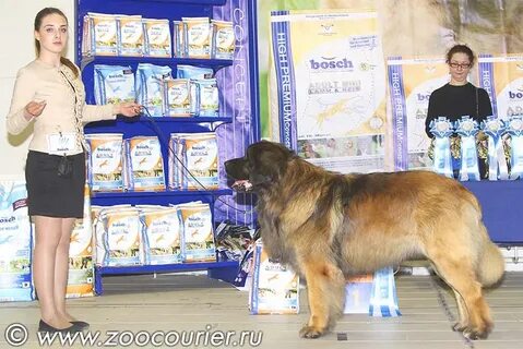 Зоокурьер выставки