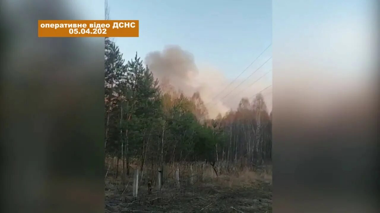 Пожар в Чернобыльской зоне. Пожар в Чернобыле 2020. Зона пожара Чернобыльской АЭС. Рыжий лес в Чернобыле сгорел. Пожар радиация