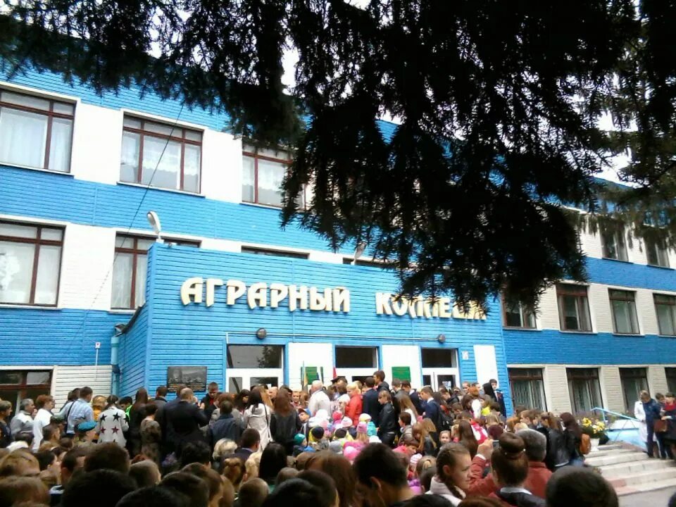Коломенский аграрный колледж общежитие. Сайт агроколледж. Агротехнологический колледж ялуторовск. Бавлинский аграрный колледж (бак). Сайт агроколледж.