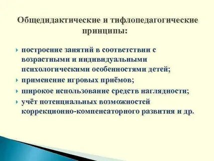 Общедидактические принципы обучения