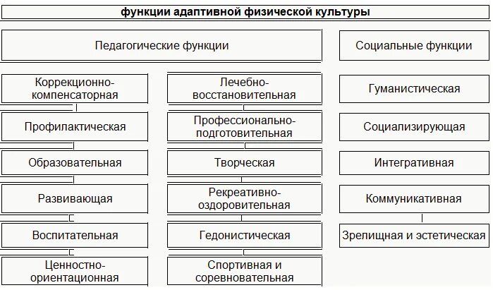 Основные функции упражнений. Важнейшие педагогические функции афк. педагогические принципы адаптивной физической культуры. афк схема функций. педагогические функции адаптивной физической культуры.