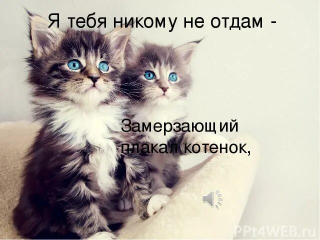 Не отдам что грозит. Я тебя никому не отдам котенок. Никому тебя не отдам. Никому тебя не отдам котики. Я тебя никому не отдам сама буду мучить.