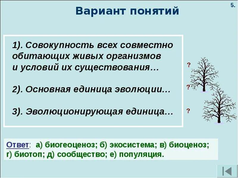 Совокупность всех живых организмов. Совокупность всех живых организмов и условий их обитания называют. Совокупность совместно обитающих организмов. Существование живых организмов.