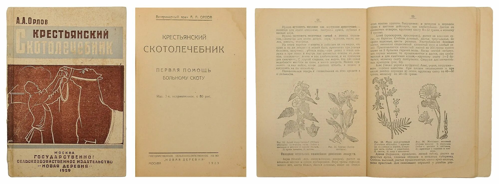 Технические измерения. От чехова до наших дней чуковский. 3 е изд испр м. Методика обучения математики в начальной школе учебник. Анатомия человека м.