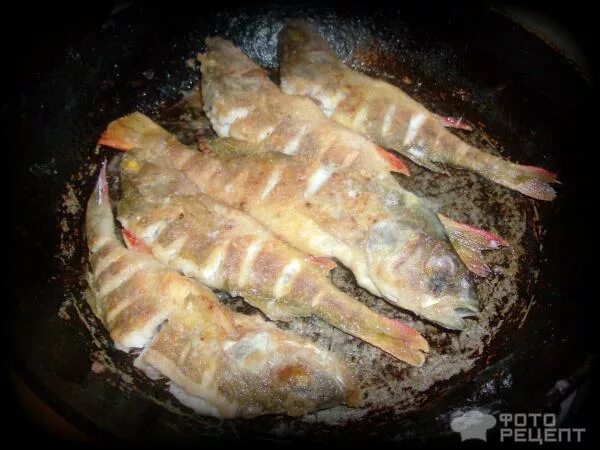 Морской окунь с хрустящей корочкой - рецепт с фото Еда, Идеи для блюд, Кулинария
