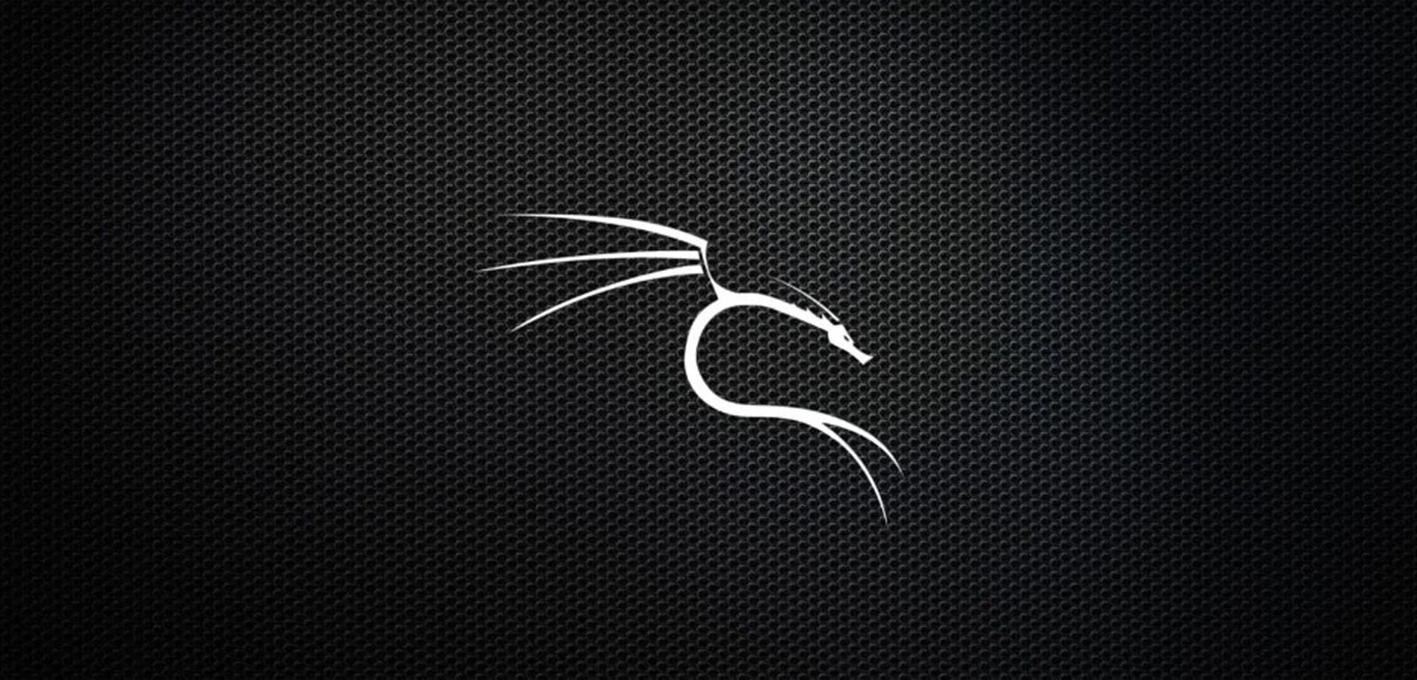 Кали линукс. Kali Linux logo. Kali Linux картинки. Кали линукс фон.