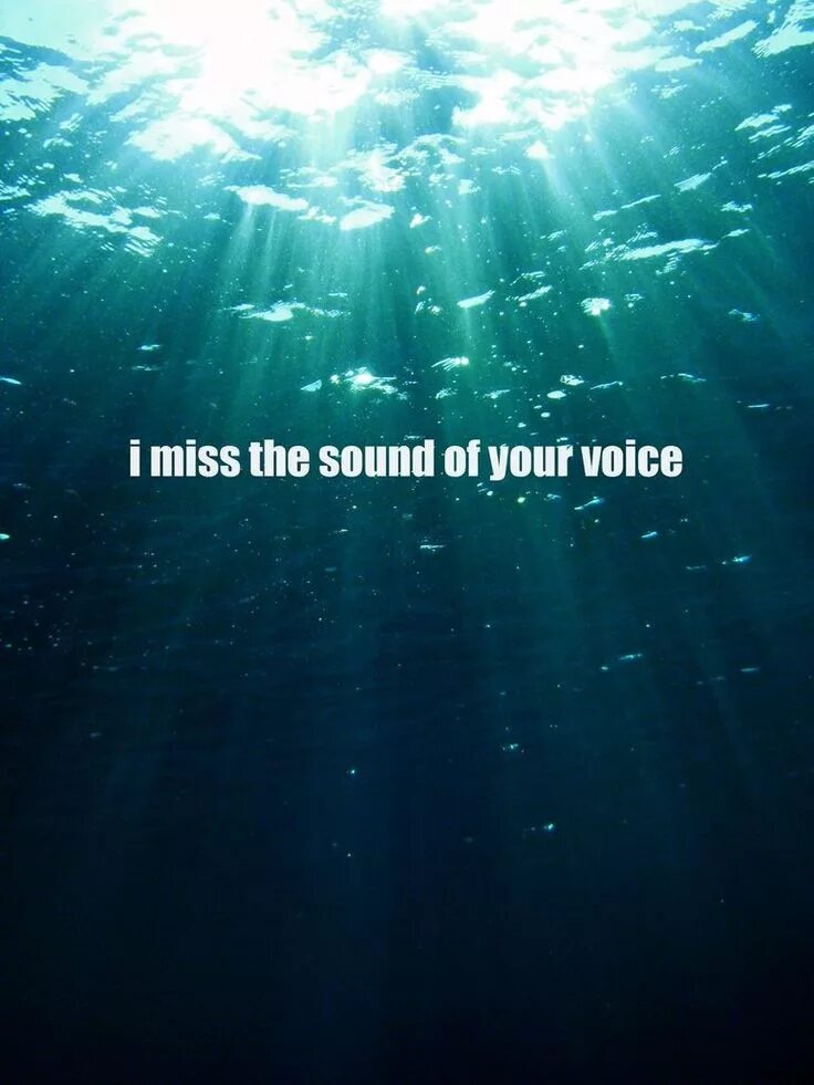 Like your voice. Your Voice. Sound of your Voice. Your Voice me. Your Voice matters.