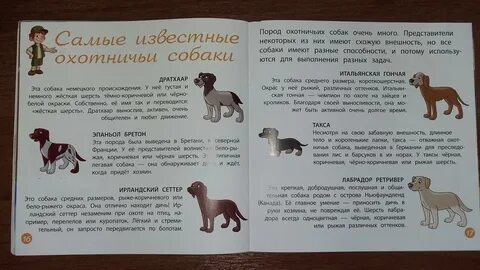 Имена охотничьих собак мальчиков