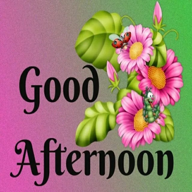 Good afternoon can i help you. Гуд афтенун. good afternoon картинки. good afternoon надпись. good afternoon quotes.