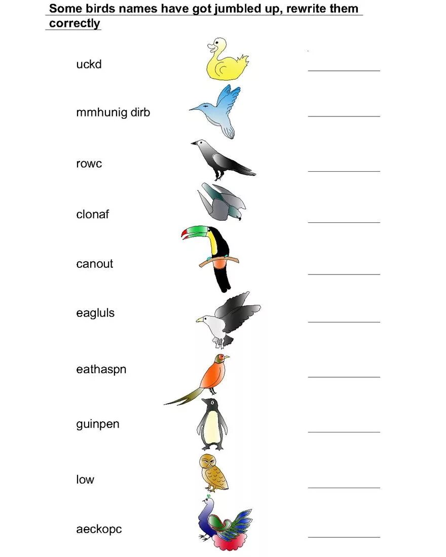 Birds задание. Птицы на английском языке. Птицы на английском языке задания. Птицы задания. Птицы задания для детей.