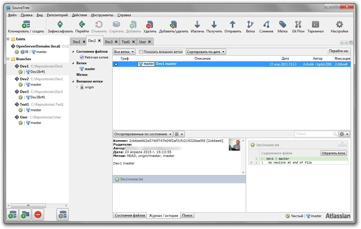 Как удалить репозиторий. Git SOURCETREE. Состояние файла в репозитории. SOURCETREE темы. SOURCETREE как пользоваться.