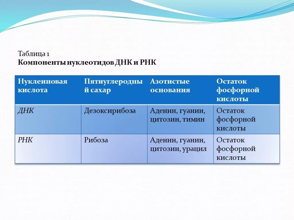 Углеводы днк и рнк. Функции белков жиров углеводов и нуклеиновых кислот таблица. Белки жиры углеводы нуклеиновые кислоты функции. Строение и функции белков жиров и углеводов таблица. Белки жиры углеводы нуклеиновые кислоты таблица.