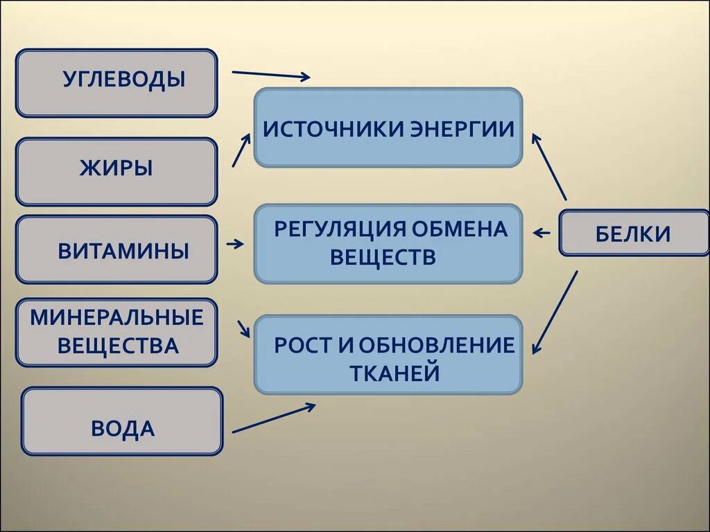 Обмен веществ минеральное питание. Регуляция белков жиров и углеводов. Источники энергия, белков и углеводов. Углеводы источник энергии. Схема обмен белков, жиров, углеводов, воды, Минеральных веществ.