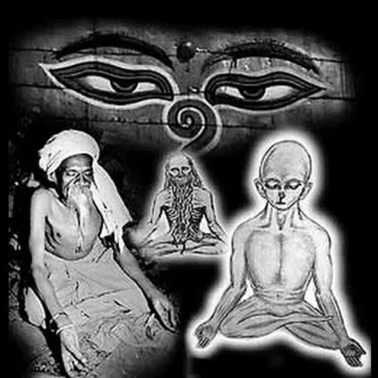 Люди в состоянии сомати. Люди в состоянии сомати. Люди в состоянии сомати. Люди в состоянии сомати. Люди в состоянии сомати.