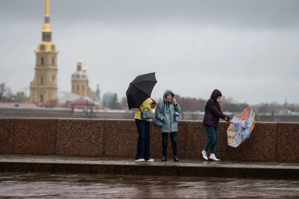 Климат Питера. Усиление ветра. Петербург в ноябре. Фото холодный октябрь в Питере.