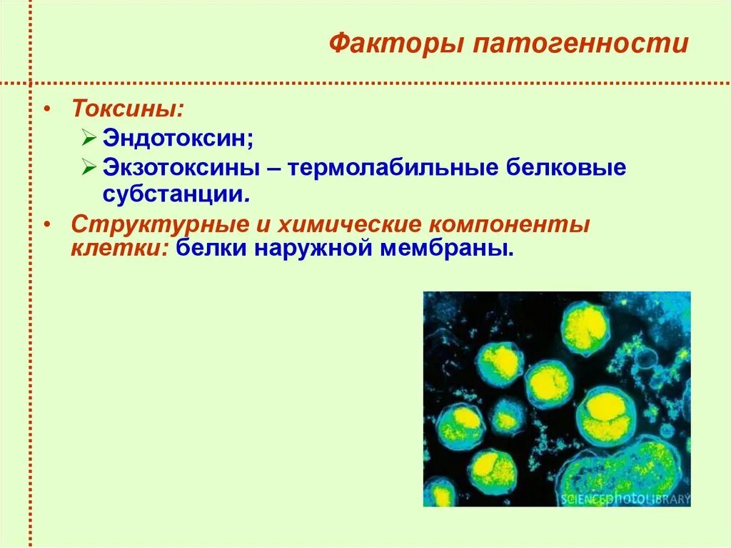 Токсины патогенности. Хламидии микробиология факторы патогенности. Chlamydia trachomatis факторы патогенности. Хламидия трахоматис факторы патогенности. Факторы патогенности хламидий микробиология.