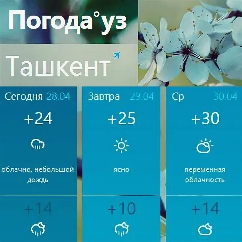 Bir oylik ob havo. Погода в Ташкенте. Погода на завтра в Ташкенте. Погода в Ташкенте сегодня. Температура в Ташкенте сейчас.
