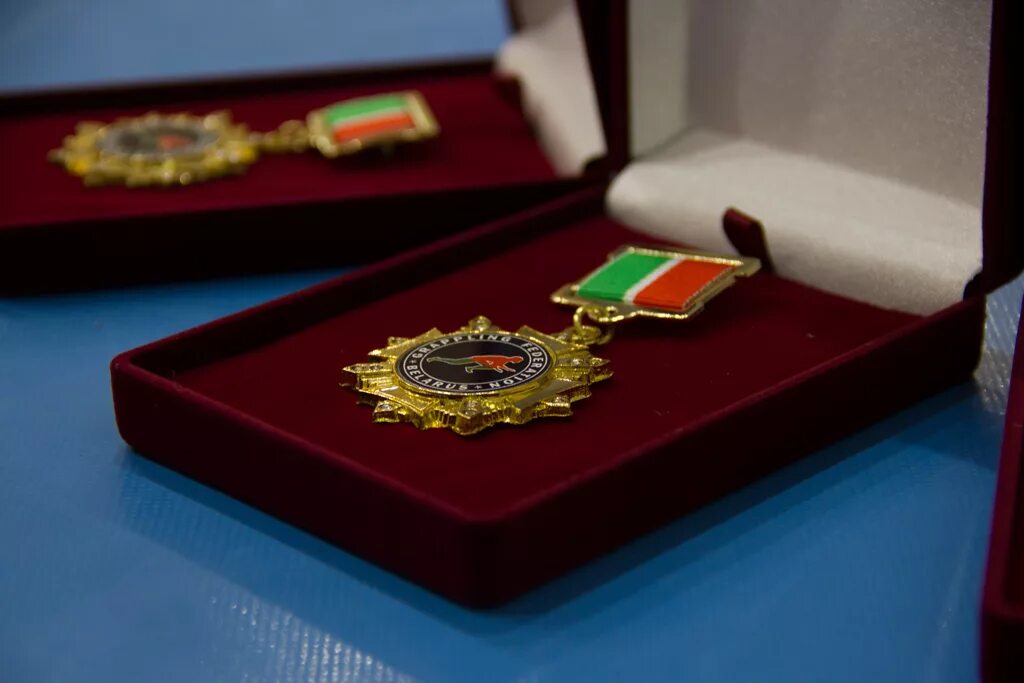 Госнаграды республики беларусь. Государственные награды республики беларусь. Награды рб. Юбилейная медаль белоруссии 100 лет вооруженным силам. Медали военные.