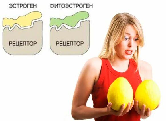 Возрастные изменения фигуры. Какие гормоны влияют на лишний вес. Женский гормон эстроген. Что такое гормоны у женщин. Высокий уровень эстрогена у женщин.