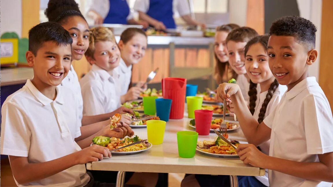 The student is the table. Школьный обед в Великобритании. Обед студента. Школьный обед в новой Зеландии. Ланч в школе в ОАЭ.