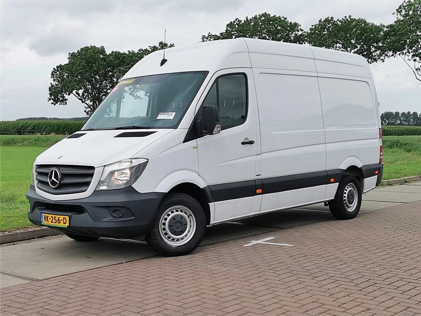 Спринтер 313. 313 CDI Sprinter. Мерседес Спринтер 313 CDI 2.2. Mercedes 313.