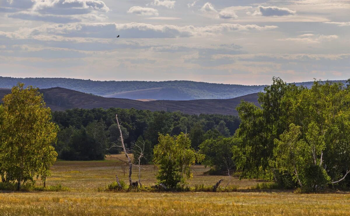Усман гора зианчуринский район. Погода в баш чумаза зианчуринский. Село абзаново зианчуринский. Погода в баш чумаза зианчуринский. Башкирия зианчуринский район,село башкирская чумаза.