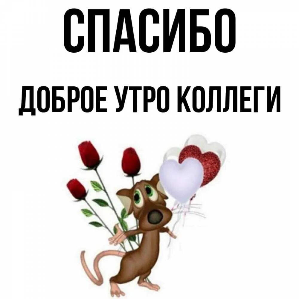 Доброе утро коллеги апрель. Доброе утро коллеги. доброе утро коллектив. с добрым утречком коллегам. доброе утро коллеги хорошего дня.