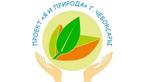 Городской экологический проект