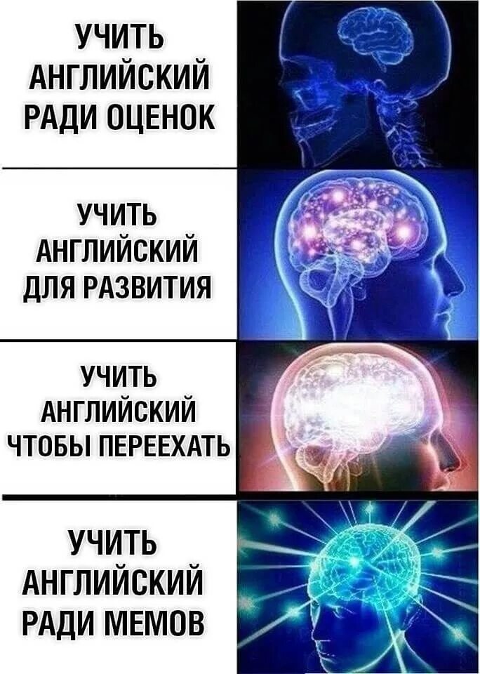 Песня мозги мем