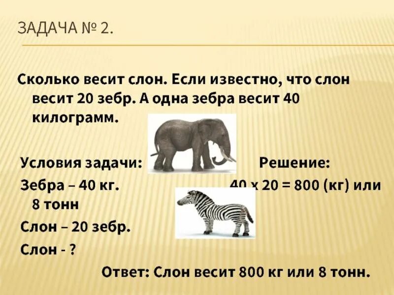 Сколько весит слон. Масса слона. Слон весит. Сколько весит слон сколько весит слон.