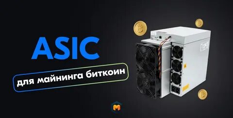 Бюджетные асики