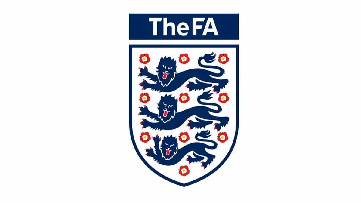 Как выглядит флаг сборной англии 10 популярных идей на тему "english football teams" для вдохновения