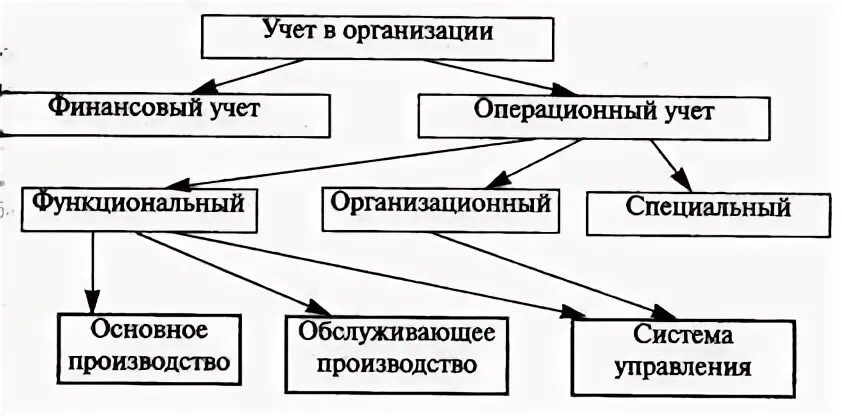 Виды и элементы организации