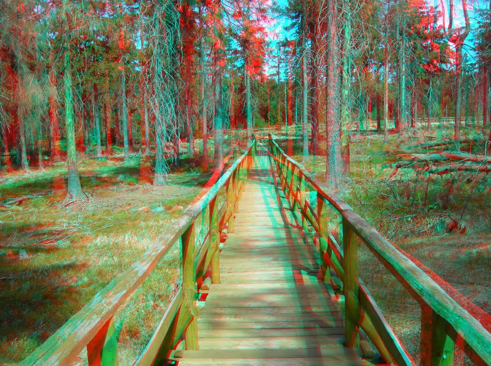 Красивые зд