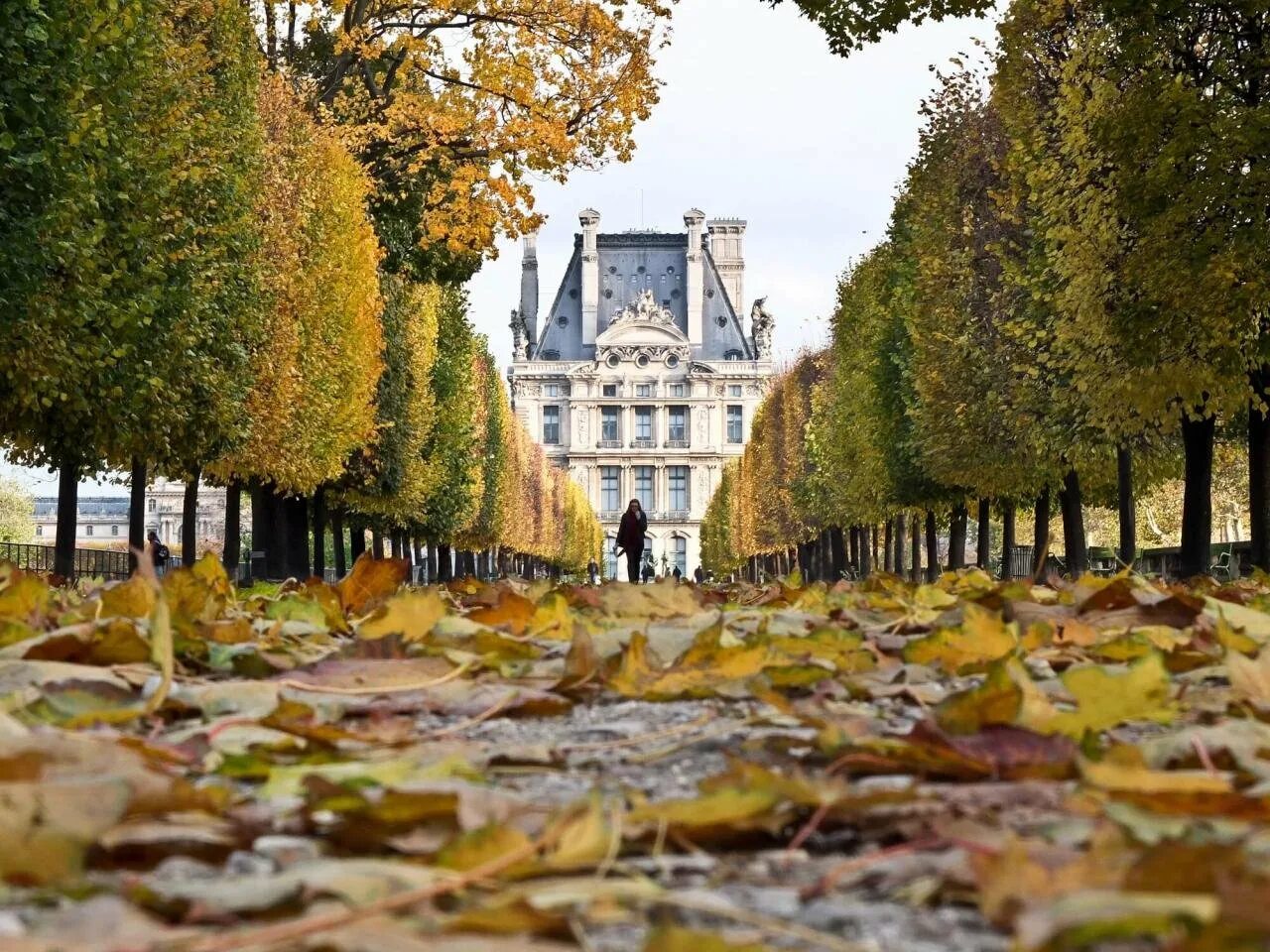 Сад Тюильри в Париже. Сад Тюильри осень. Люксембургский парк в Париже осенью. Сад Тюильри осень Париж.