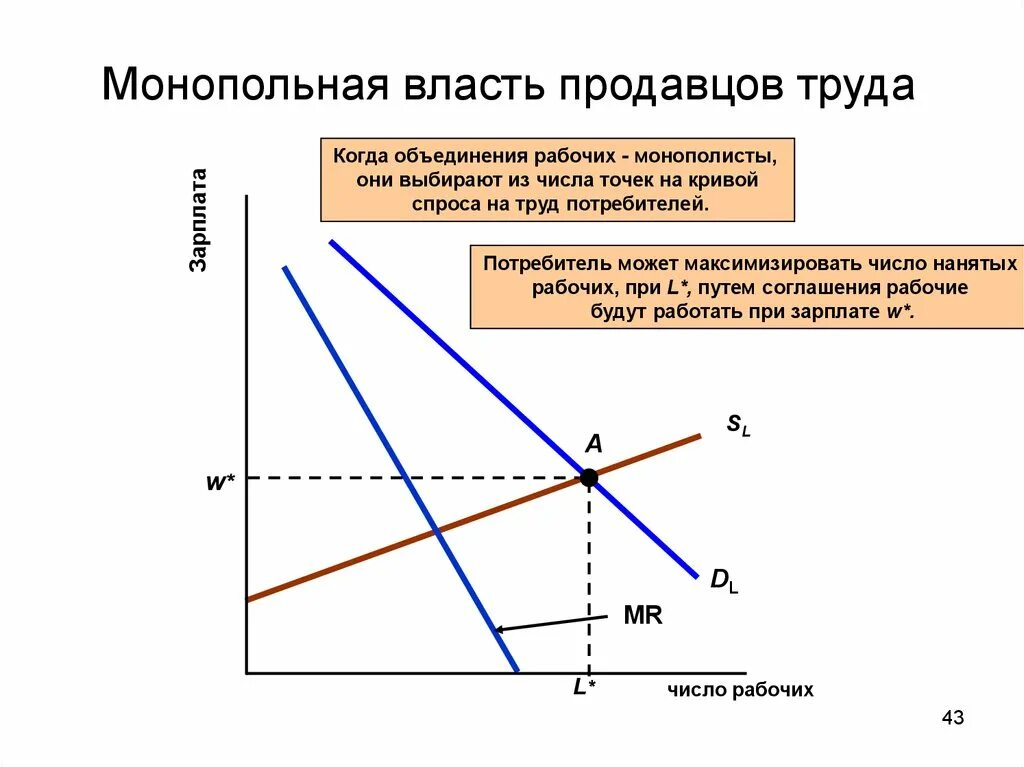 Монопольная власть. Монополия и монопольная власть. Показатели монопольной власти. Монопольный рынок труда.