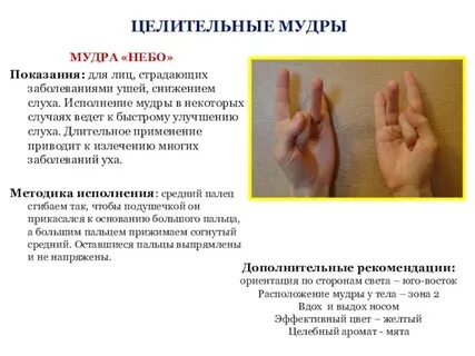 Мудр обозначает мудрый