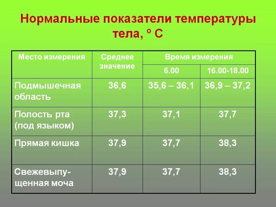 Температура взрослого человека