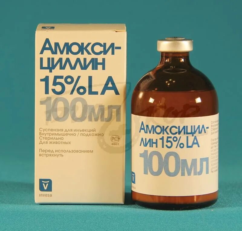 Амоксициллин для животных. Амоксициллин 15% 100мл инвеса. амоксициллин 15% 10 мл invesa. амоксициллин 100мл ветеринарный. амоксициллин инъекции ветеринарный.