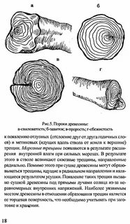 Пороки древесины 8 класс