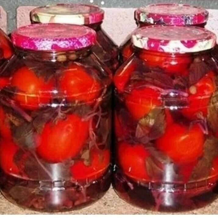 Маринованные помидоры с базиликом рецепт. Необычные заготовки на зиму. Помидоры с базиликом и чесноком на зиму. Помидоры черри с базиликом на зиму. Томаты с базиликом на зиму.