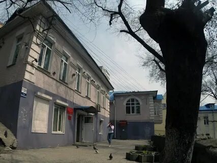 Гбуз владивосток