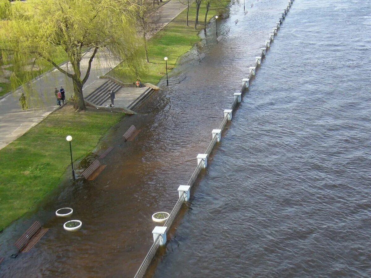 Уровень воды сож в славгороде сегодня реке. Гомель река. Гомель СОЖ. Реки вышли из берегов Гомель. Река СОЖ.