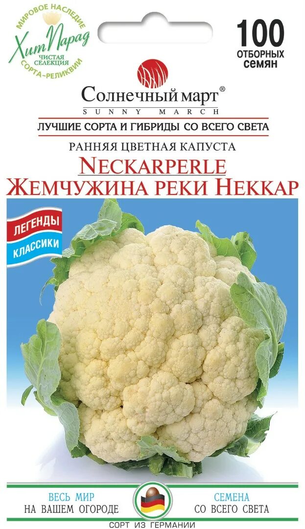 Капуста жемчужина фото Капуста цветная 1кг купить в интернет-магазине по низкой цене на Яндекс Маркет