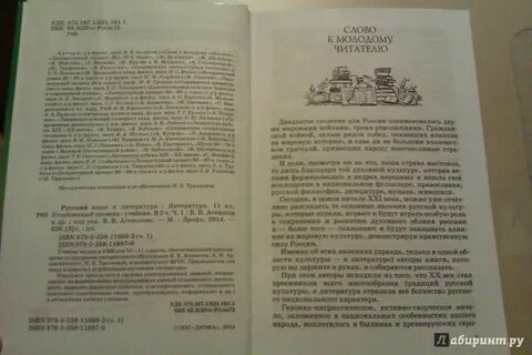 Литература 11 углубленный уровень