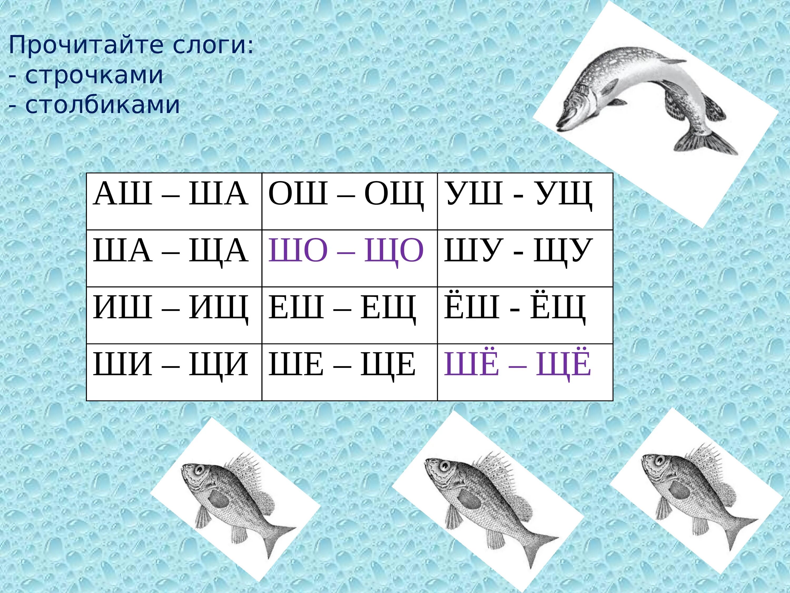 5 слов на щ. Дифференциация ш-щ. Дифференциация ш-щ задания для дошкольников. Дифференциация звуков ш-щ. Дифференциация букв ш щ для дошкольников.