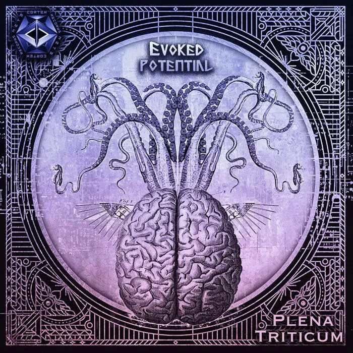 Victoria kern фото. Creola. Полба колос. Somebody like you. Triticum now or never.