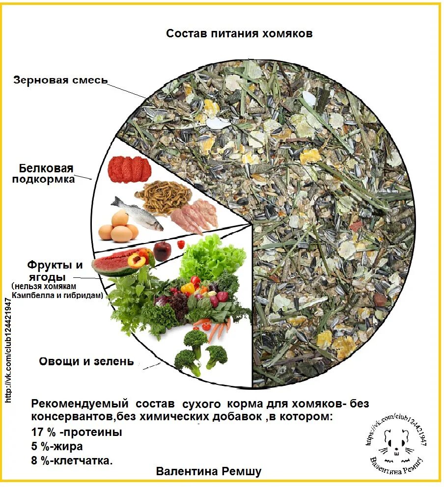 Что давать джунгарскому хомяку