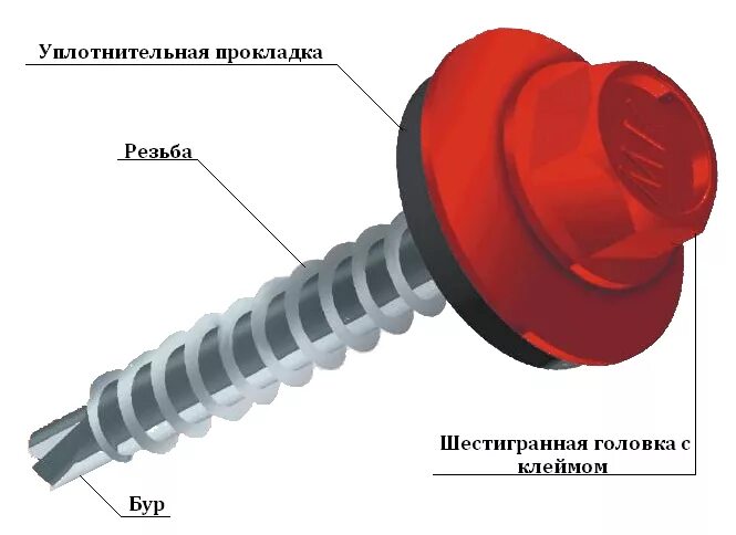 Сколько надо саморезов. Кровельные саморезы под профлист с20. Саморезы для профлиста с 21. Саморез для крепления профлиста к металлу размер. Размер самореза по металлу для крепления профлиста на крышу.